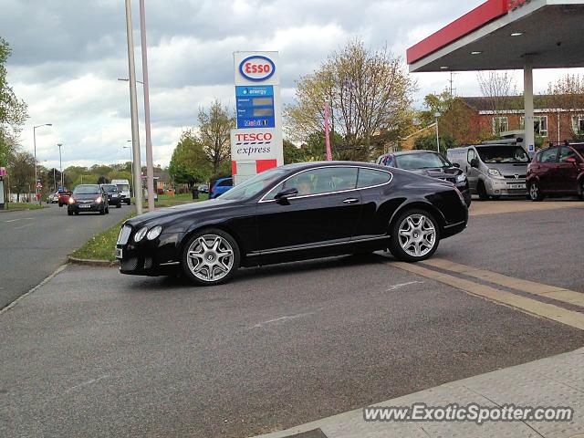 Bentley Continental spotted in Reading, United Kingdom