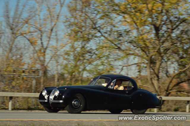 Jaguar E-Type spotted in Webster, New York