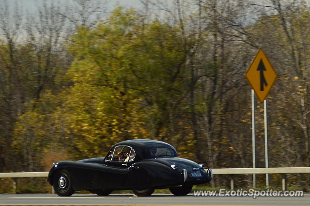Jaguar E-Type spotted in Webster, New York