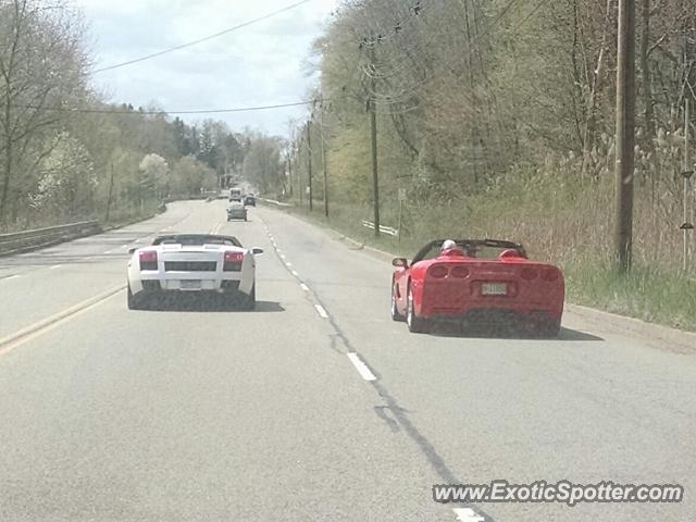 Lamborghini Gallardo spotted in Livingston, New Jersey
