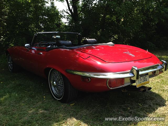 Jaguar E-Type spotted in Easton, Pennsylvania