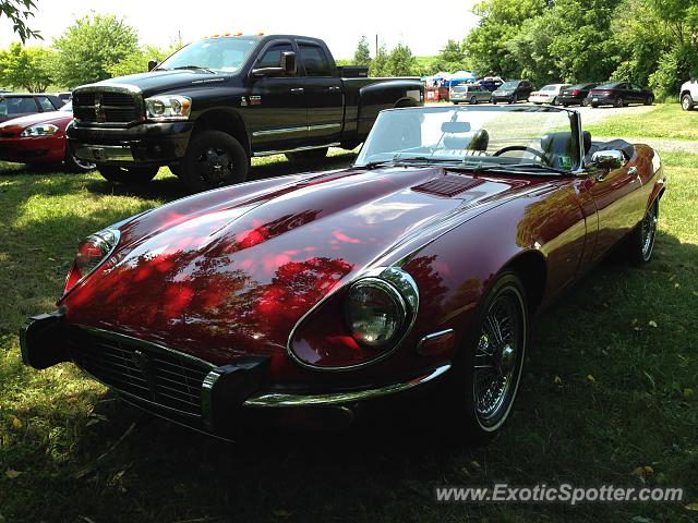 Jaguar E-Type spotted in Easton, Pennsylvania