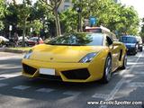 Lamborghini Gallardo