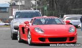 Porsche Carrera GT