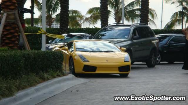 Lamborghini Gallardo spotted in Miami Beach, Florida