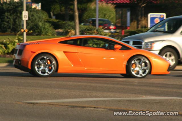 Lamborghini Gallardo spotted in Holland, Michigan