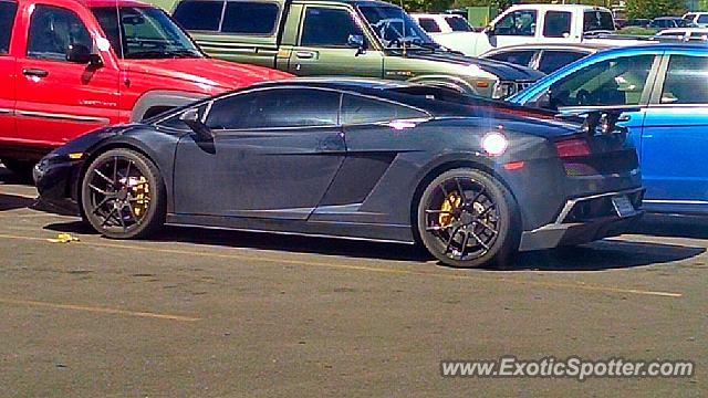 Lamborghini Gallardo spotted in Albuquerque, New Mexico