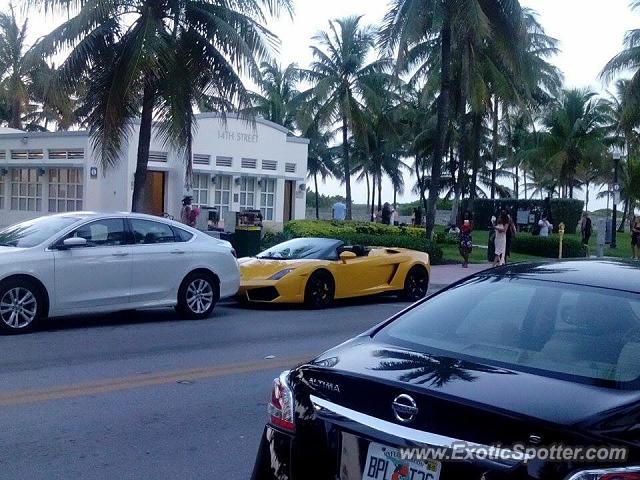 Lamborghini Gallardo spotted in Miami, Florida