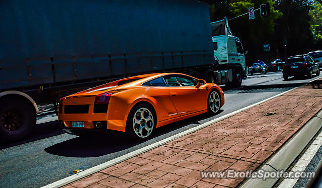 Lamborghini Gallardo spotted in Sydney, Australia