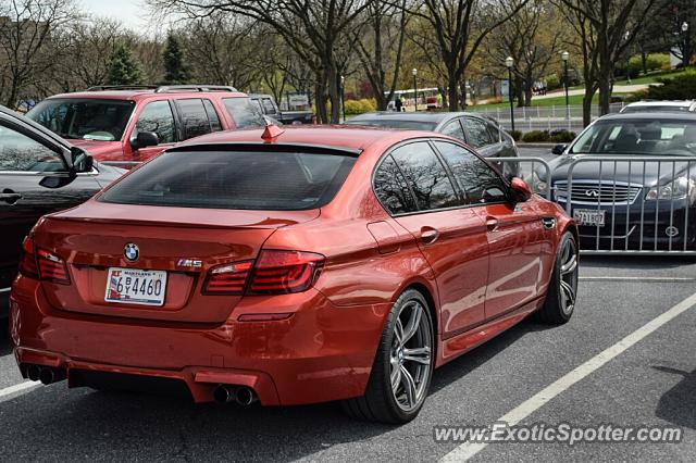 BMW M5 spotted in Hershey, Pennsylvania