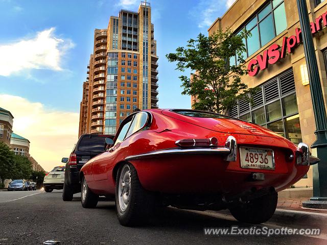 Jaguar E-Type spotted in Reston, Virginia