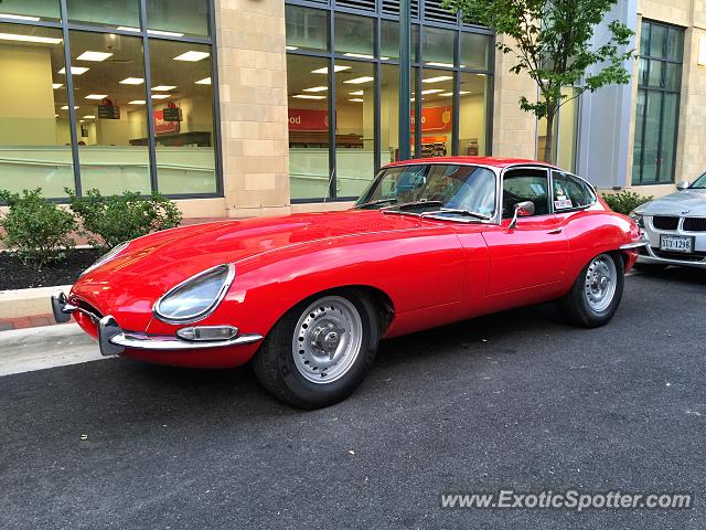 Jaguar E-Type spotted in Reston, Virginia