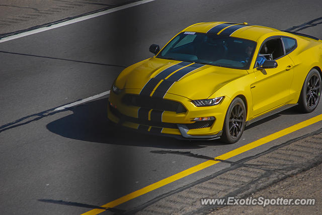 Other Other spotted in Ann Arbor, Michigan