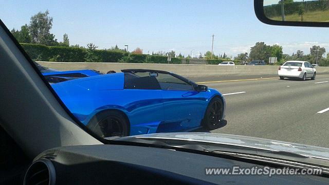 Lamborghini Murcielago spotted in Roseville, California