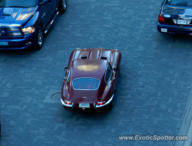 Jaguar E-Type spotted in Toronto, Canada