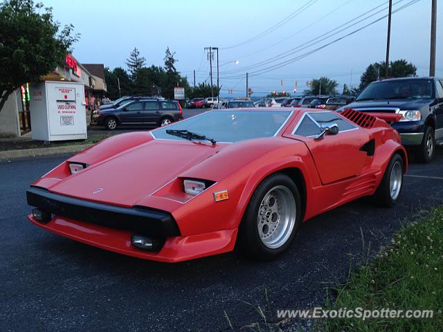 Other Kit Car spotted in Cementon, Pennsylvania