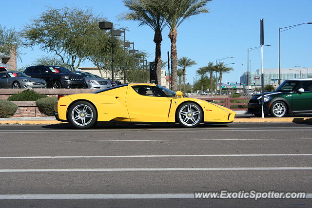 Ferrari Enzo spotted in Scottsdale, Arizona