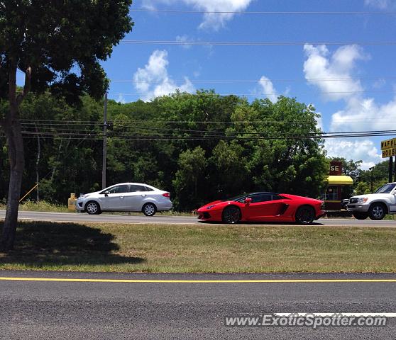 Lamborghini Aventador spotted in Key Largo, Florida