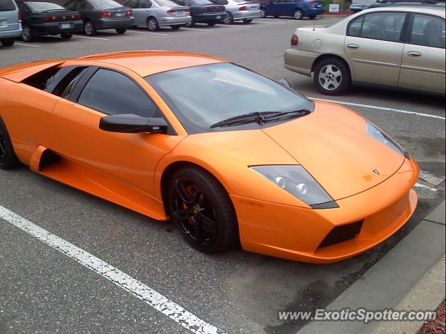 Lamborghini Murcielago spotted in Shorewood, Minnesota