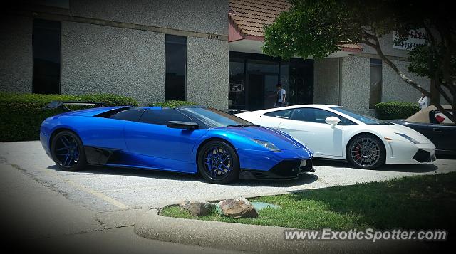 Lamborghini Murcielago spotted in Carrollton, Texas