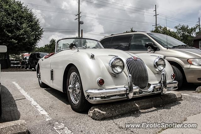 Other Vintage spotted in Zionsville, Indiana