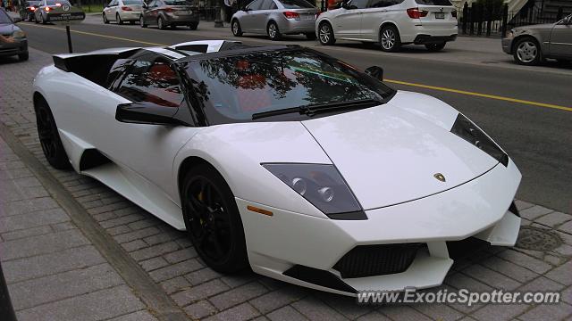 Lamborghini Murcielago spotted in Québec, Canada