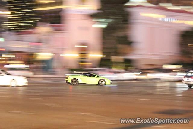 Lamborghini Gallardo spotted in Las Vegas, Nevada