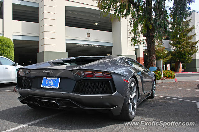 Lamborghini Aventador spotted in San Jose, California
