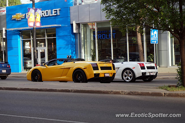 Lamborghini Gallardo spotted in Edmonton, Canada