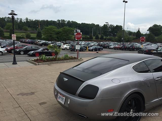 Porsche 911 spotted in Victor, New York