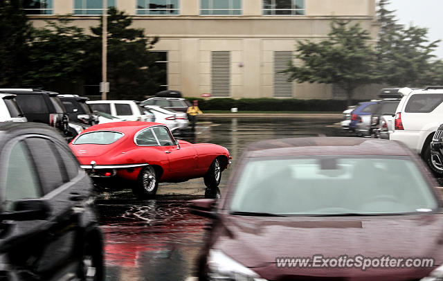 Jaguar E-Type spotted in Indianapolis, Indiana