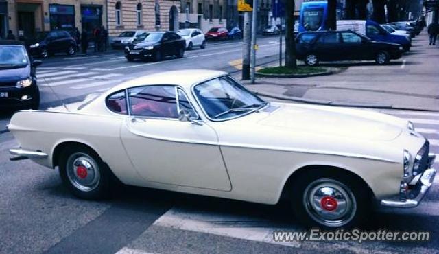 Other Unknown spotted in Zagreb, Croatia