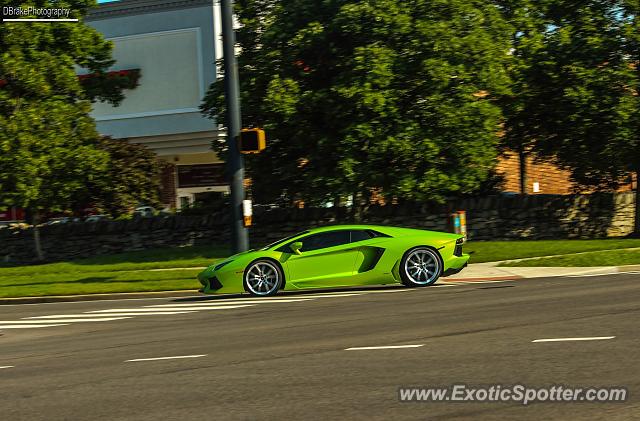 Lamborghini Aventador spotted in Franklin, Tennessee