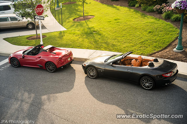 Alfa Romeo 4C spotted in Hershey, Pennsylvania