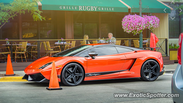Lamborghini Gallardo spotted in Birmingham, Michigan