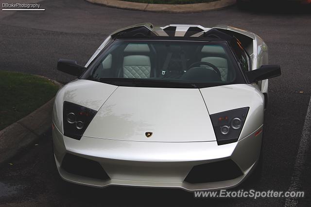 Lamborghini Murcielago spotted in Franklin, Tennessee