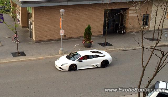 Lamborghini Murcielago spotted in Toronto, Canada