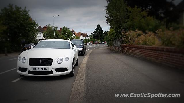 Bentley Continental spotted in Reading, United Kingdom