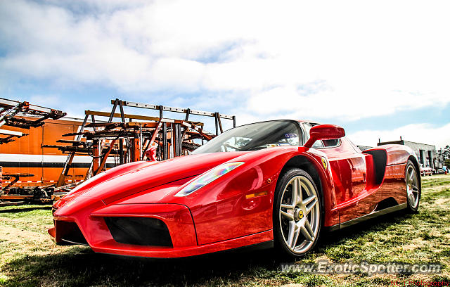 Ferrari Enzo spotted in Pebble Beach, California