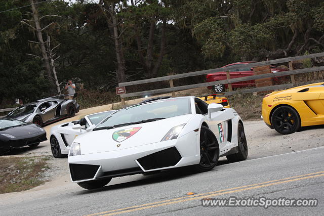 Lamborghini Gallardo spotted in Monterey, California