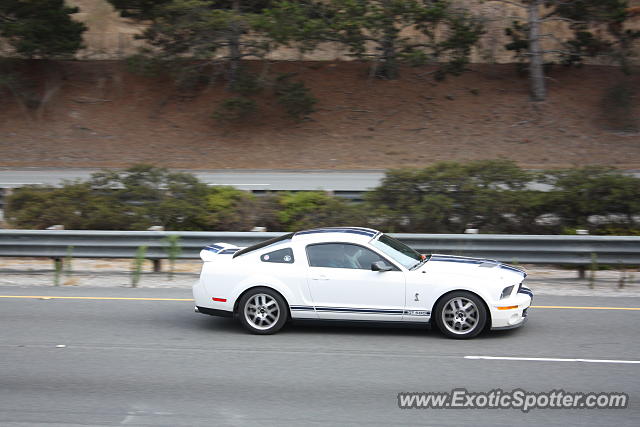 Shelby Cobra spotted in Monterey, California