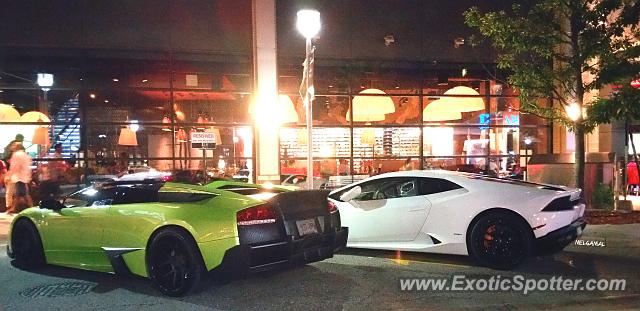 Lamborghini Murcielago spotted in Toronto, Canada