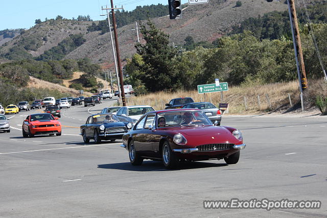 Ferrari 365 GT spotted in Monterey, California