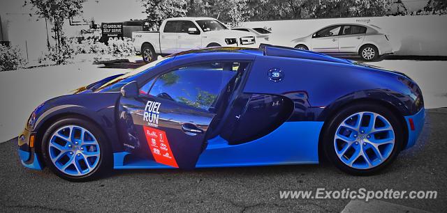 Bugatti Veyron spotted in Encino, California