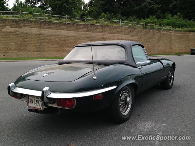 Jaguar E-Type spotted in Allentown, Pennsylvania
