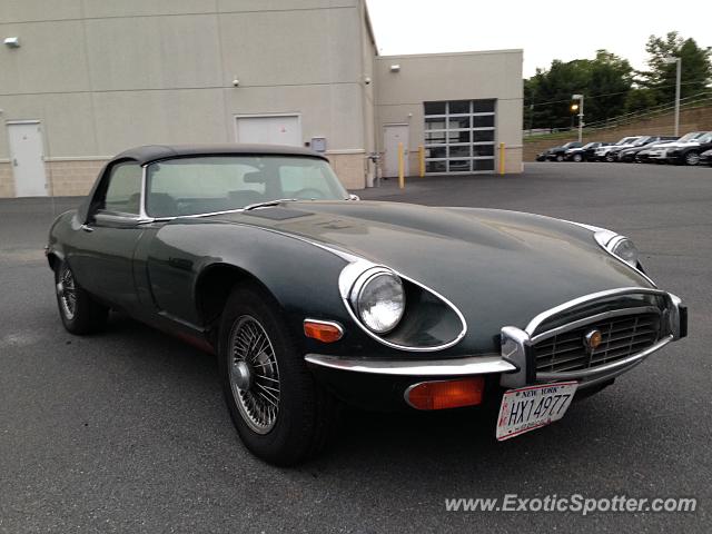 Jaguar E-Type spotted in Allentown, Pennsylvania