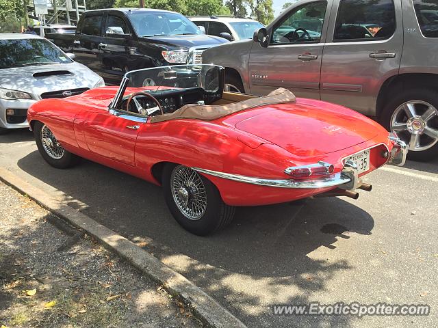 Jaguar E-Type spotted in Houston, Texas
