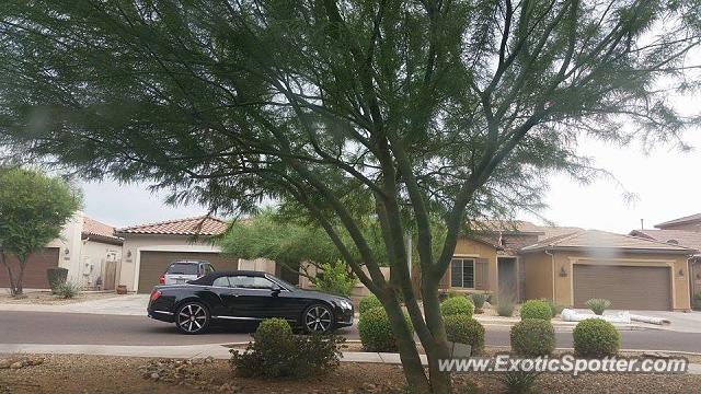 Bentley Continental spotted in Phoenix, Arizona