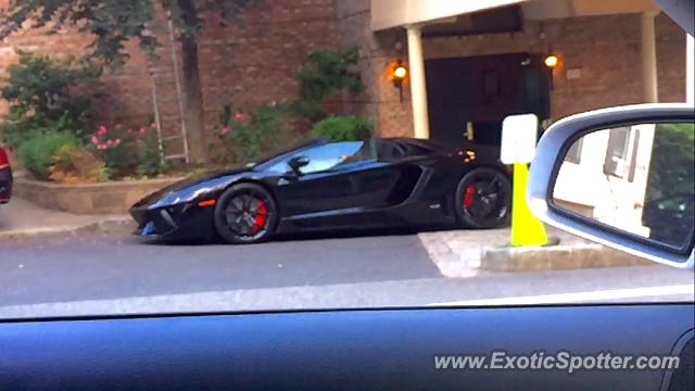 Lamborghini Aventador spotted in Edgewater, New Jersey
