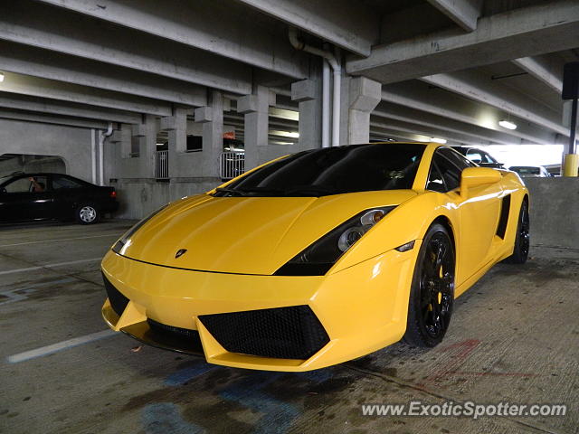 Lamborghini Gallardo spotted in Short Hills, New Jersey